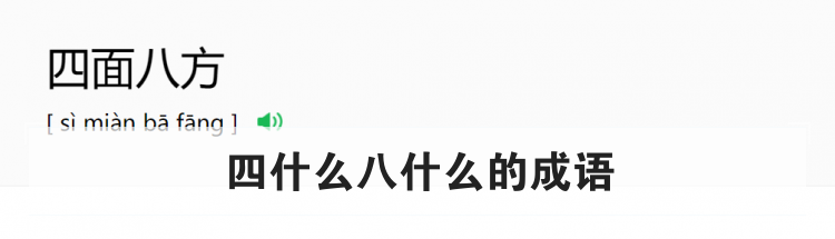 四什么八什么的成语