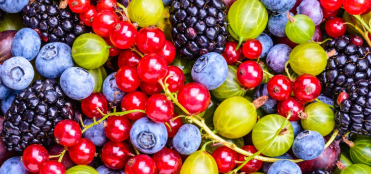 fruit是什么意思