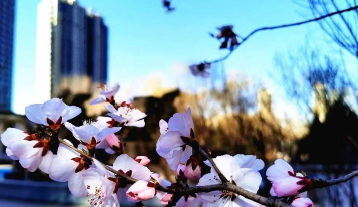 april是什么意思