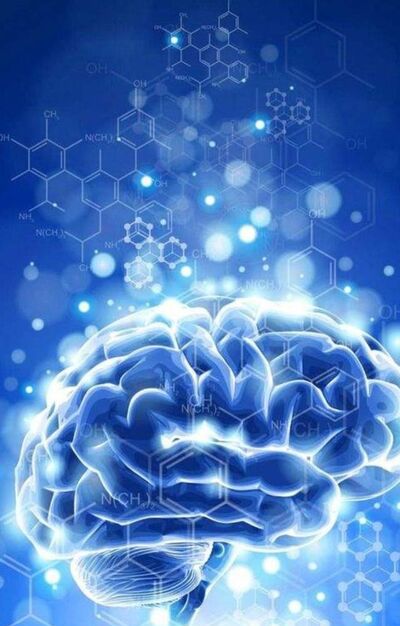 怎么开发左脑，左脑与右脑有什么区别