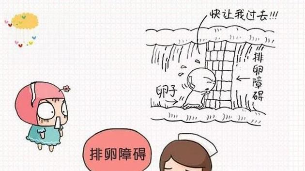 老婆没有生育能力怎么办？
