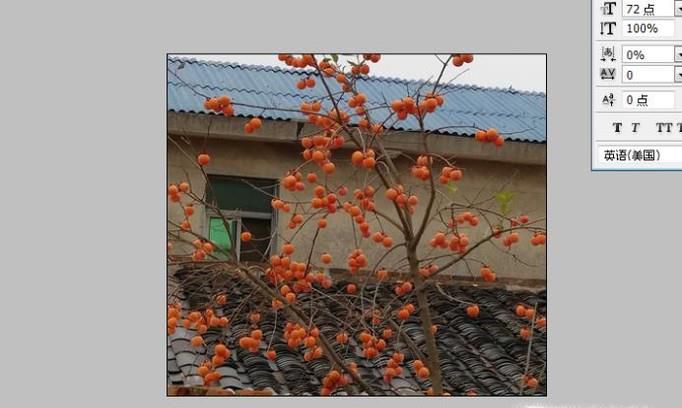 photoshop中如何提亮图片