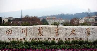四川农业大学怎么样