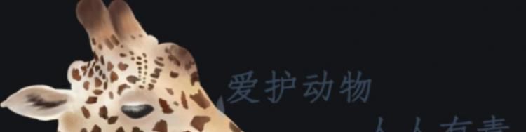 保护动物的标语大全？