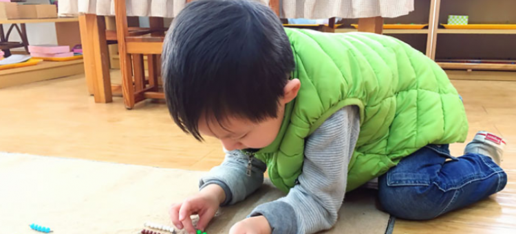 什么是蒙氏教育