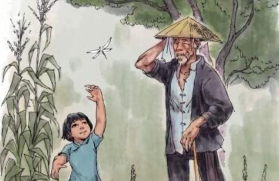 呼兰河传主要内容