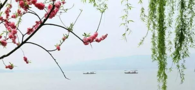 良辰美景奈何天是什么意思