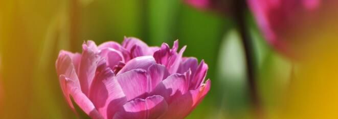 关于天气的谚语有哪些