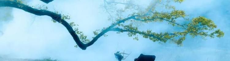 日长篱落无人过的下一句是什么