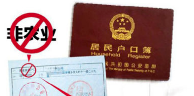 户口性质是什么意思