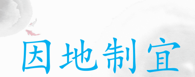 因地制宜的意思是什么