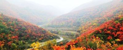 霜叶红于二月花是什么季节的?
