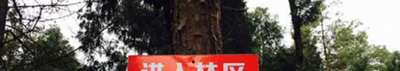 森林防火标语有哪些