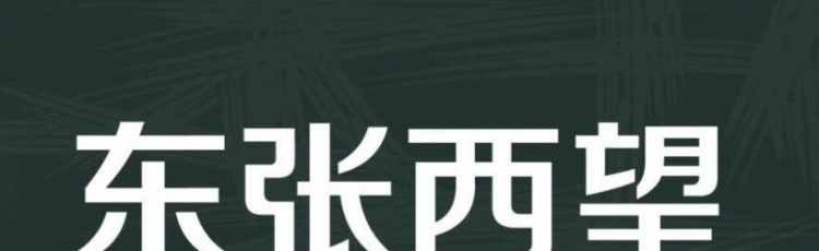 东张西望是什么意思
