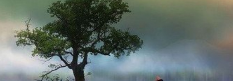波澜不惊的意思是什么？