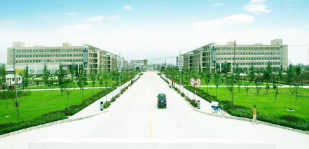 美术生可以考什么大学