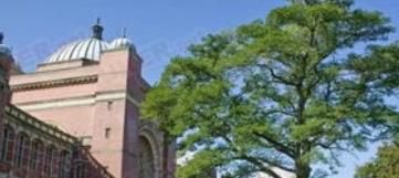 移民英国后孩子如何上学？