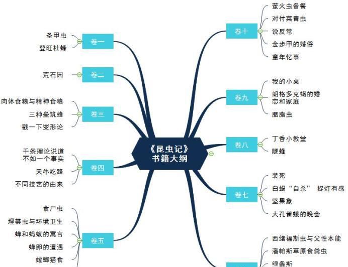 《昆虫记》思维导图模板分享