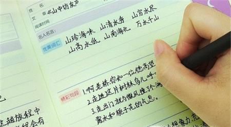 优美好词好句好段摘抄大全