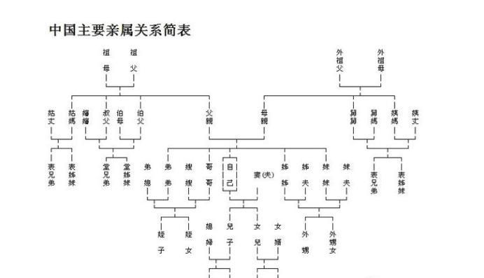 主要社会关系怎么填