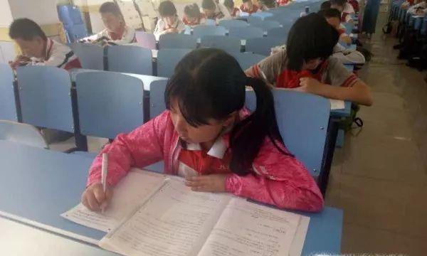 如何查看小学初考成绩期末考试成绩呢