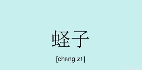 蛏子怎么读,蛏子怎么洗