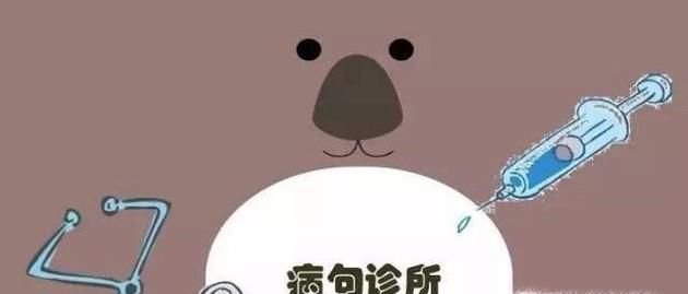 高中语文病句分类总结