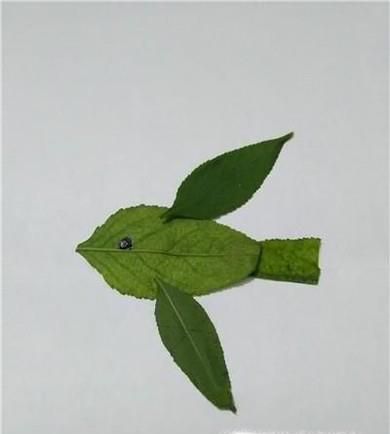 如何制作幼儿园树叶手工作品