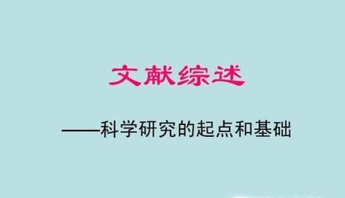 怎样写文献综述