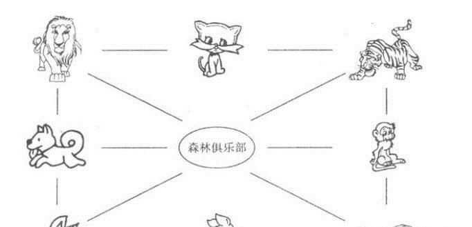 位置与方向的常见类型