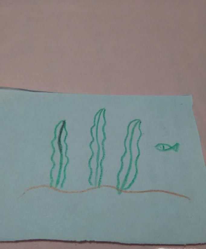 简笔画怎么画海草？