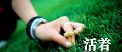 人为什么活着？又该如何活着？