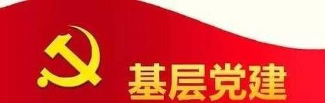 怎样做好基层党务工作