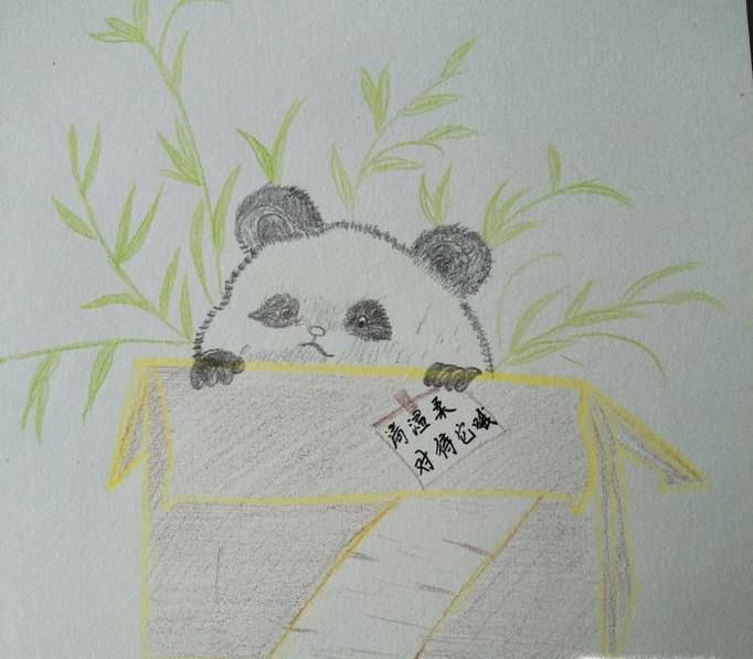 快递员熊猫宝宝怎么画