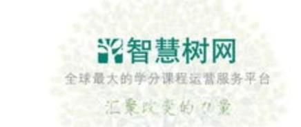 智慧树学分课如何看成绩规则？