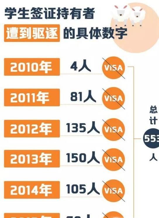 新西兰留学的童鞋注意了！移民局想把这样的你送回国！