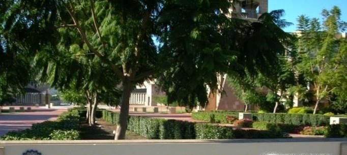 澳洲留学：澳大利亚邦德大学每年有几个学期，每个学期有几周？