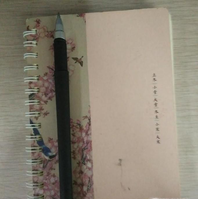 小学运动会的日记怎么写