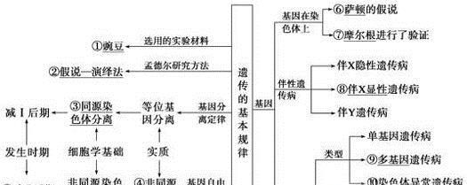 生物伴性遗传解题技巧
