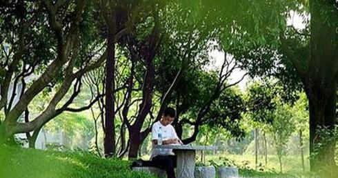 如何提高自己的学习效率。