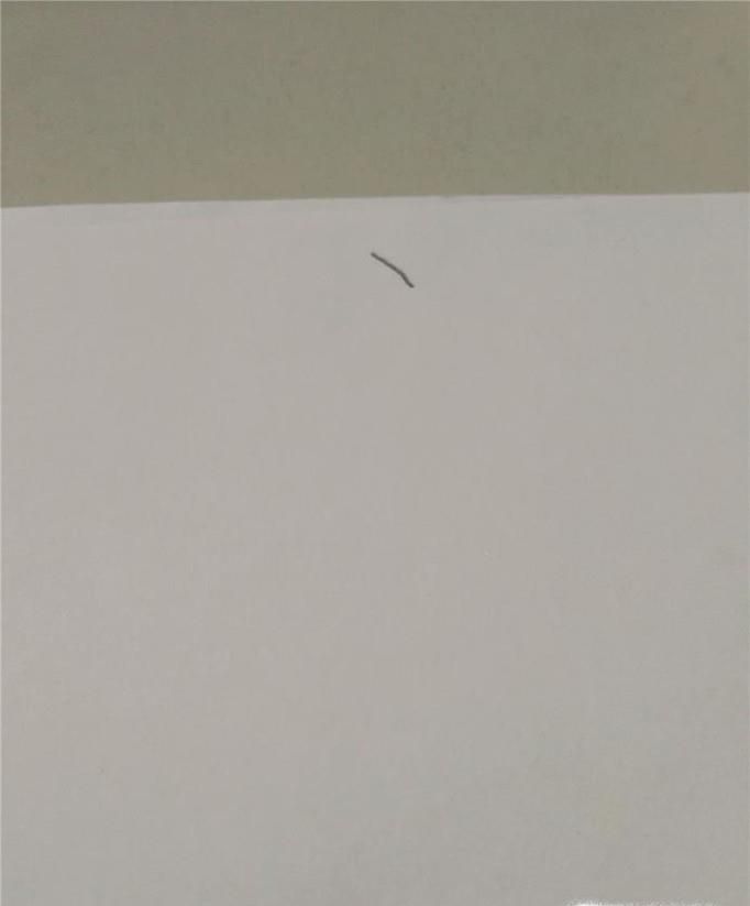 度字的笔顺和易错点
