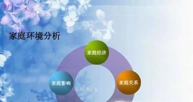 家庭环境分析怎么写