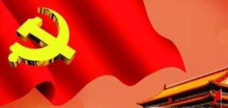 预备党员考察表，每季度考察，党支部意见