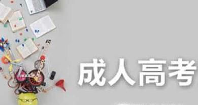 成人高考是什么意思