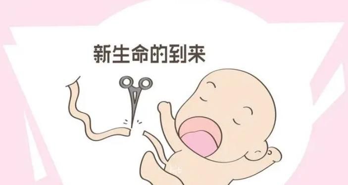 让宝贝学会使用马桶，时机把握很关键，家长们知道了吗？