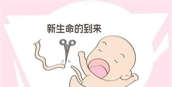 让宝贝学会使用马桶 时机把握很关键 家长们知道了吗