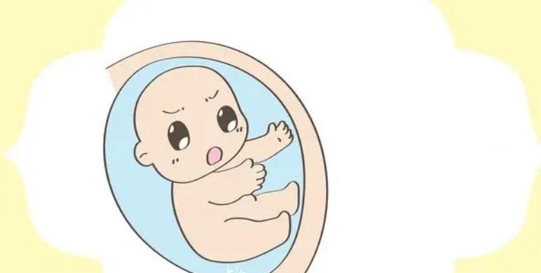 胎儿的性格都遗传了谁？孕期妈妈看过来！