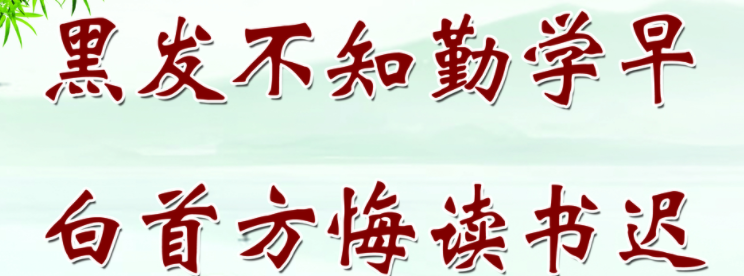 黑发不知勤学早什么意思
