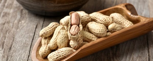 落花生用了什么写作手法 落花生告诉了我们什么道理