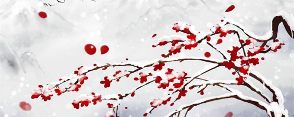 山园小梅翻译和赏析  山园小梅的译文